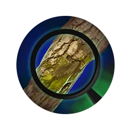 Dendrology