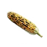 Roasted Corn
