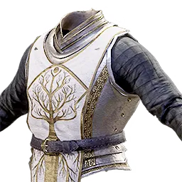 Tattered Tunic