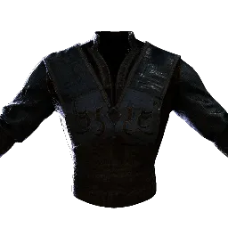 Ambitious Academic's Tunic