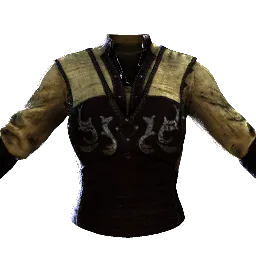 Tunic of the Soulseeker