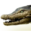 Sandsquall Croc