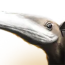 Daystrider Mule