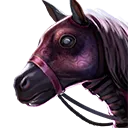 Mount Cosmetic: Midnight Mare