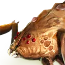 Scorpion Broodling