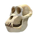Gorilla Bone