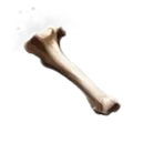Basilisk Bone