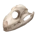 Iguana Bone