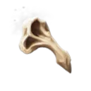 Otter Bone