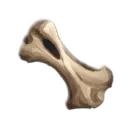 Raptor Bone