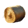 Hay