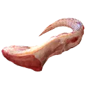 Iguana Meat