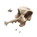 Cursed Bone Fragments