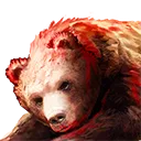 Bear Carcass