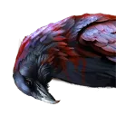 Raven Carcass