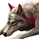Wolf Carcass