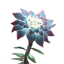 Gloomy Pross Petals