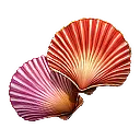 Sunscale Scallop