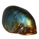 Beetle Matriarch Carapace