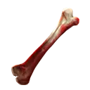 Bloodied Bone