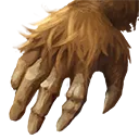Bedraggled Paw