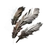 Ashearis' Plume