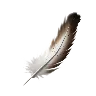 Ashearis' Feather