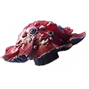Morellius's Cap