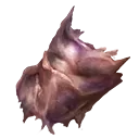 Scorpion Venom Gland