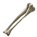 Snar's Bone
