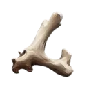 Swiftscreech's Bone