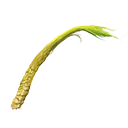 Wiry Sinew