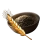 Barley Seed