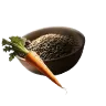 Carrot Seed