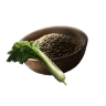 Celery Seed