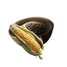 Corn Kernel