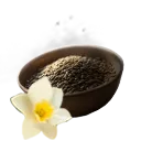 Daffodil Seed