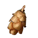 Eastern Hemlock Seed