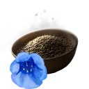 Giant Bluebell Seed