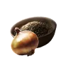 Onion Seed