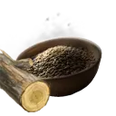 Weeping Willow Seed
