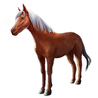 Horse