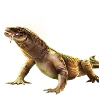 Sandsquall Komodo