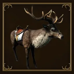 Aspect of the Pronghorn